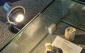 LED-lamp-verlicht-bloemdier-top