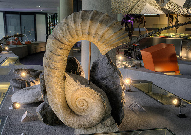 ammoniet-verlicht-door-LED-GU10-3x3W-2700K-bottom